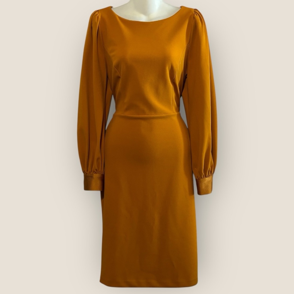 Elegant Orange Long Sleeve Dress